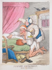 Diversión de Verano. Caza de Insectos de Thomas Rowlandson