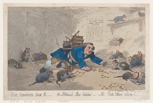 El apóstata Jack Robinson, el cazador de ratas político - N.B. ¡Ratas capturadas vivas!, 1 de marzo de 1784 de Thomas Rowlandson