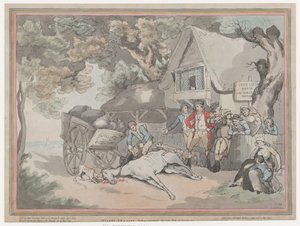 El Caballo de Tiro de La Vida de un Caballo de Carreras, o El Corredor de Alto Espíritu, 20 de julio de 1789 de Thomas Rowlandson