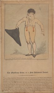 El monstruoso bicho; o un animal recién descubierto de Thomas Rowlandson