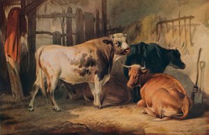 Un Toro y tres Vacas en un Establo, c1856 de Thomas Sidney Cooper