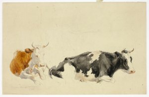 Dos vacas yacentes (anverso); boceto de vaca de pie (reverso) de Thomas Sidney Cooper
