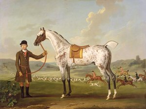 Escipión, el cazador moteado del Coronel Roche, c.1750 de Thomas Spencer