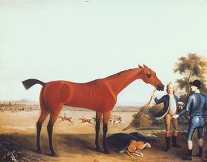El caballo de carreras del duque de Devonshire 