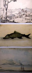 Tres ilustraciones de 