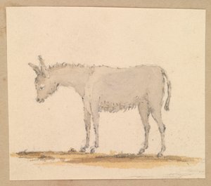Estudio de un asno, c.1820 (pluma y tinta, aguada, acuarela)