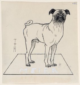 Fregonas Meier de Thomas Theodor Heine