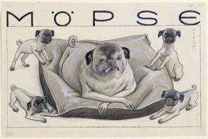 pugs
