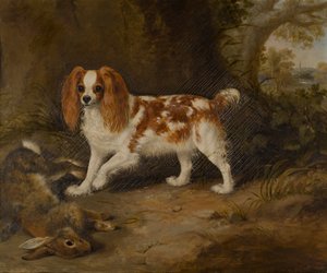 Un perro de aguas con una liebre muerta, c.1822-74 (óleo sobre lienzo) de Thomas W. Bretland