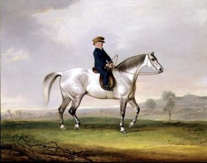 El Maestro Edward Humphries en su Pony Gris
