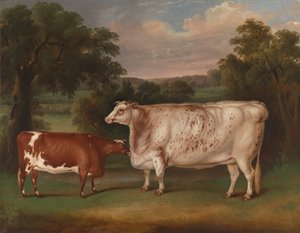 Ganado premiado en un paisaje de Thomas Weaver