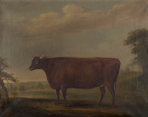 Red Devon Heifers en paisaje, c.1812 (óleo sobre lienzo) de Thomas Weaver