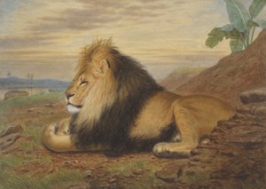 Un León de Thomas William Wood