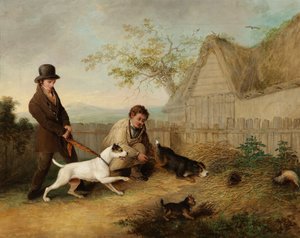Caza de ratas de Thomas Woodward