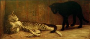 Gato y gata