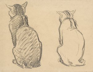 Dos Estudios de un Gato