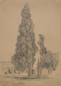 Cipreses de Thorald Brendstrup