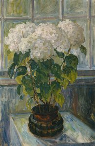 Hortensia de Thorolf Holmboe