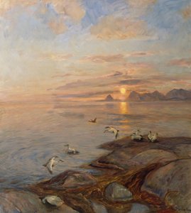 Aves marinas en sol de medianoche (óleo sobre lienzo)