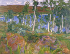 Desde Røros de Thorvald Erichsen
