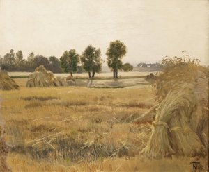 Campo con gavillas de trigo