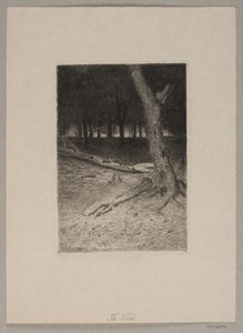 Paisaje forestal. Tarde de Thorvald Niss