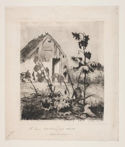 Girasoles en la casa