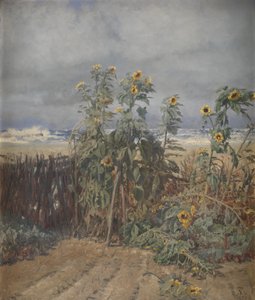 Girasoles en una playa