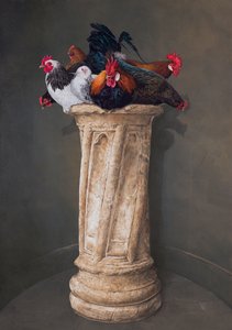 Gallinas, ojos abajo