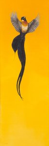 Volar; Amarillo de Tim Hayward
