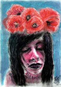 El soñador de las amapolas rojas de Tim Hoinkis