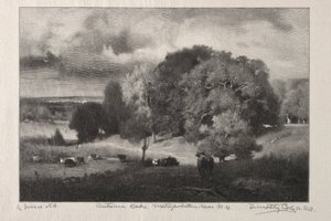 Robles de otoño