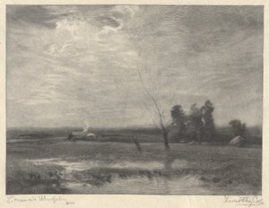 Paisaje, Tarde