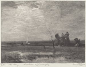 Tierras bajas de Timothy Cole after John Francis Murphy