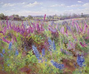 Campo de delphiniums y iglesia de Timothy Easton