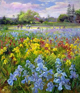 Equipo de azada y campos de iris de Timothy Easton