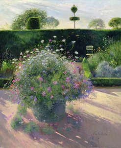 Últimos rayos alrededor del cobre de Timothy Easton