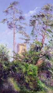 Pino y torre de Timothy Easton