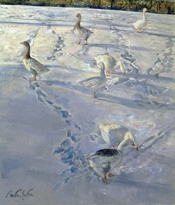 Sombras y senderos de Timothy Easton