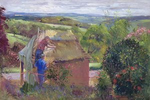Techando la Casa de Verano, Lanhydrock House, Cornwall, 1993