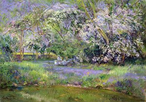Colmenas en el bosque de Timothy Easton