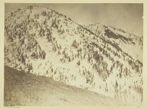 Snow Peaks, Distrito Minero de Bull Run, Nevada de Timothy O