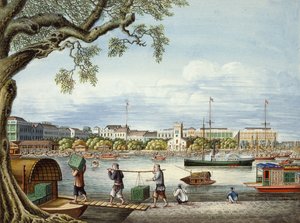 Los Hongos de Cantón, c.1852 (gouache sobre papel) de Tinqua