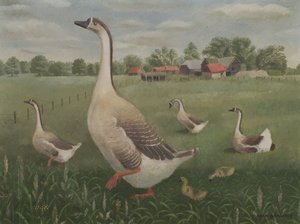 ¿Por dónde vas a vagar? de Tirzah Ravilious