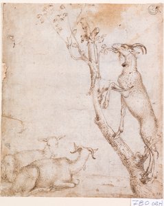 Cabras en los pastos (pluma y tinta sobre papel)