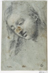 Cabeza de mujer (carboncillo sobre papel) de Titian (c.1488 1576)