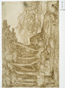 Paisaje (pluma y tinta sobre papel) de Titian (c.1488 1576)