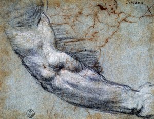 Estudio de brazo, por Tiziano (ca 1488-1576), dibujo de Titian (c.1488 1576)