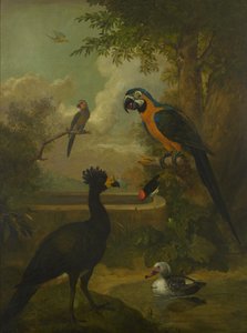Guacamayo y otras aves en un paisaje