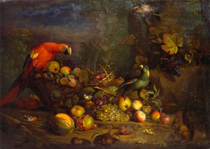 Loros y fruta con otras aves y una ardilla